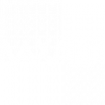 logo-maxalto-bianco